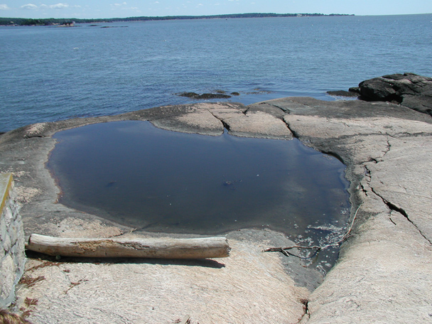 Tide Pool #1